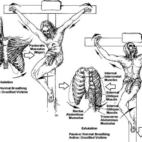 Roman Crucifixion Methods Reveal the History of Crucifixion.